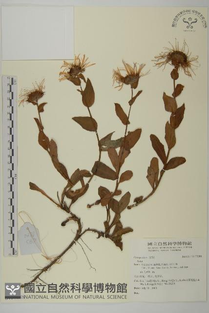 登錄號:S137088藏品圖，第1張