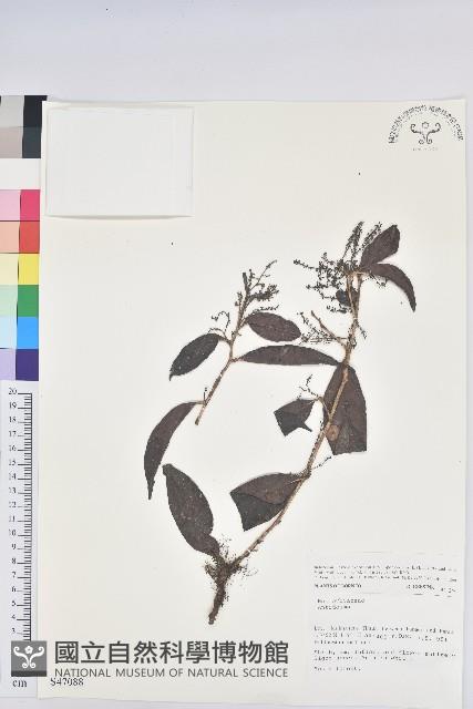 登錄號:S047088藏品圖，第1張