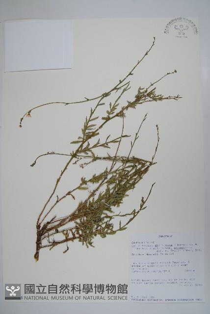登錄號:S100788藏品圖，第1張