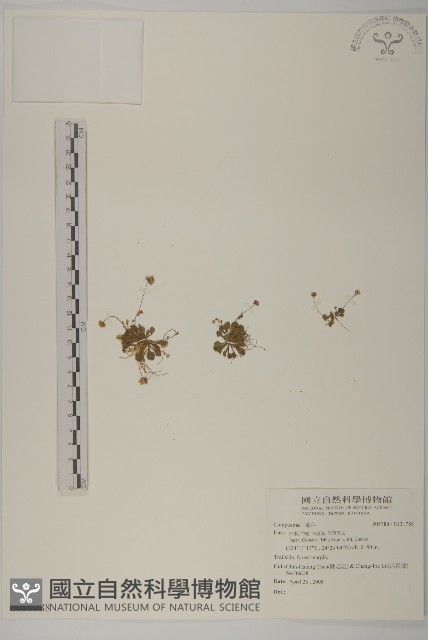 登錄號:S131788藏品圖，第1張