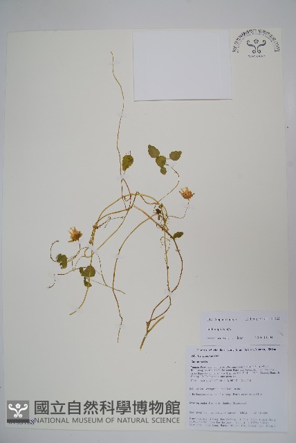 登錄號:S105788藏品圖，第1張