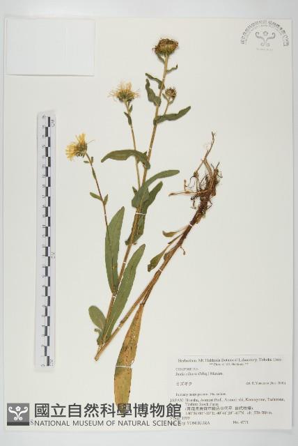 登錄號:S074788藏品圖，第1張