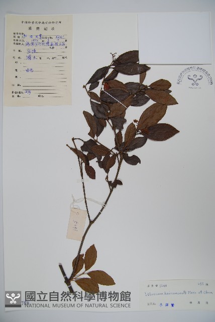 海南莢迷藏品圖，第1張