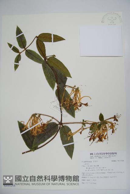 登錄號:S103288藏品圖，第1張