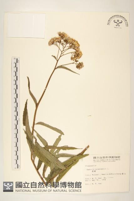 Accession Number:S002488 Collection Image, Figure 1, Total 2 Figures