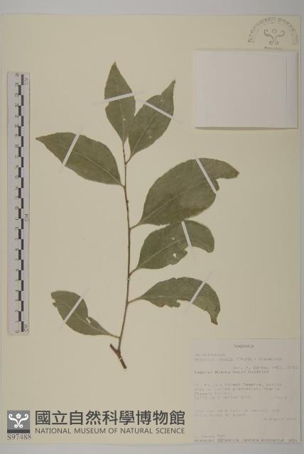 登錄號:S097488藏品圖，第1張