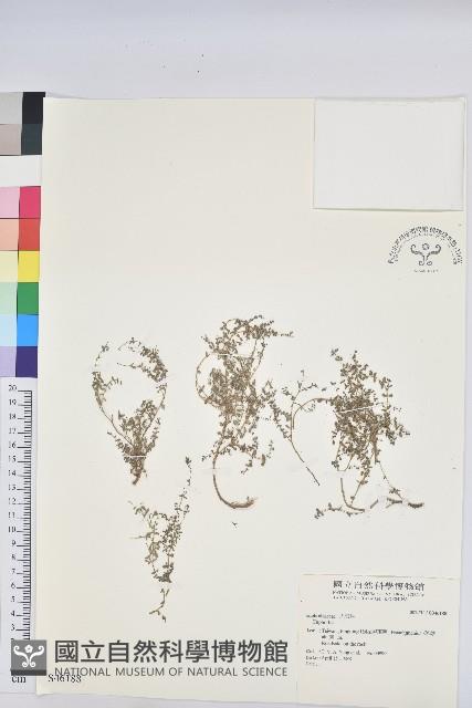 登錄號:S046188藏品圖，第1張