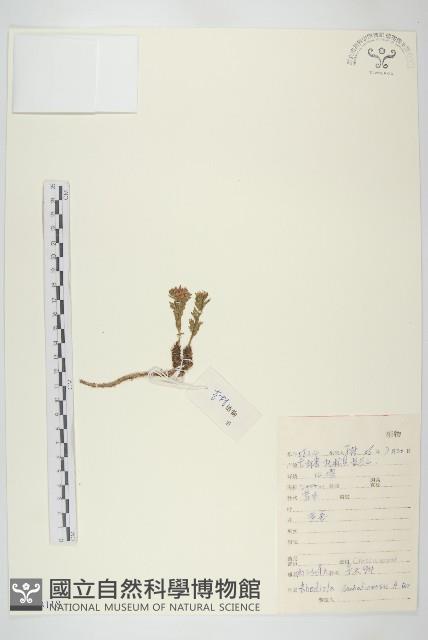 登錄號:S113188藏品圖，第1張