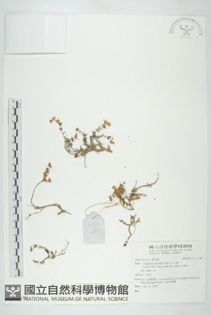 登錄號:S137188藏品圖，第1張