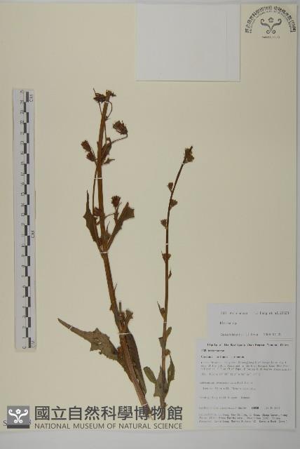 登錄號:S106388藏品圖，第1張