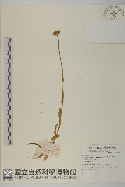 登錄號:S074388藏品圖，第1張