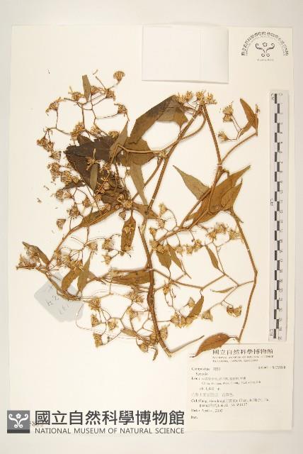 登錄號:S135888藏品圖，第1張