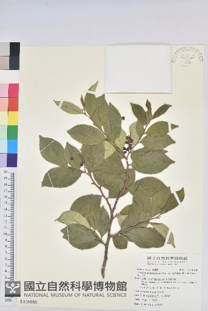 枯里珍藏品圖，第1張