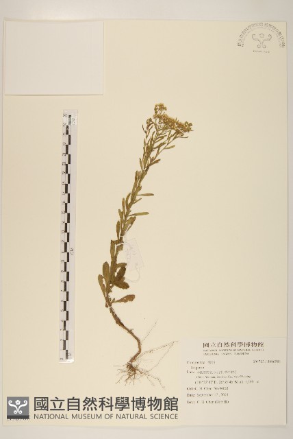 登錄號:S096988藏品圖，第1張