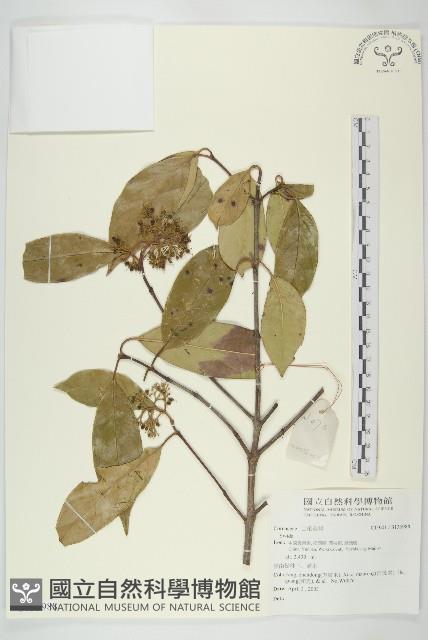 登錄號:S135988藏品圖，第1張