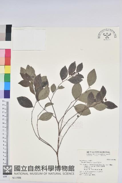 黑面神藏品圖，第1張