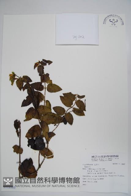 登錄號:S118803藏品圖，第1張