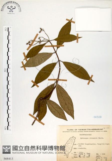 華八仙藏品圖，第1張