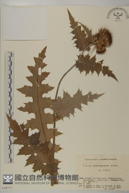 登錄號:S058753藏品圖，第1張