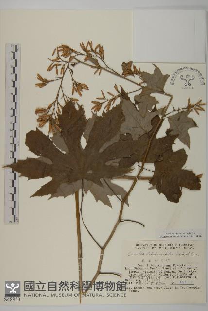 登錄號:S048853藏品圖，第1張