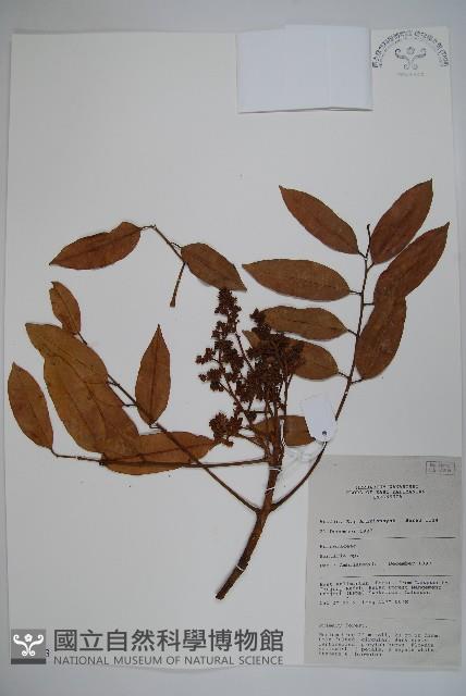 登錄號:S058793藏品圖，第1張