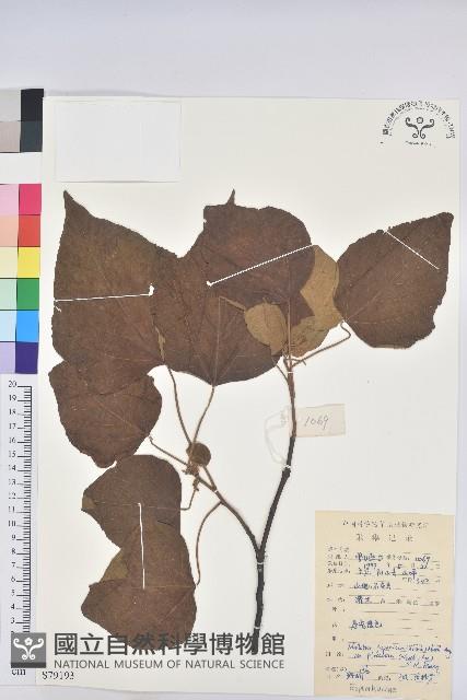 登錄號:S079193藏品圖，第1張