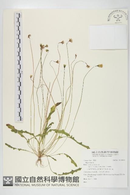 登錄號:S138193藏品圖，第1張