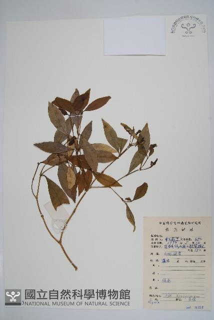 登錄號:S079133藏品圖，第1張