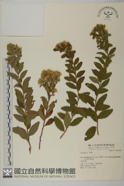 登錄號:S049263藏品圖，第1張