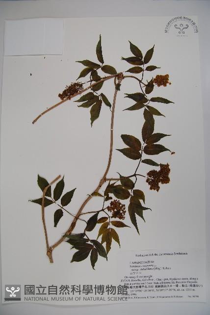 登錄號:S058463藏品圖，第1張