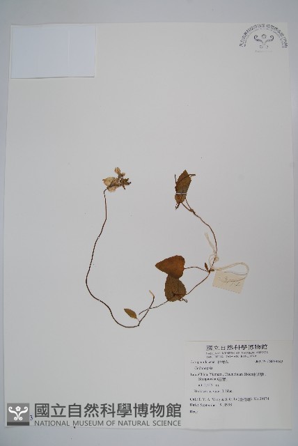 登錄號:S059163藏品圖，第1張