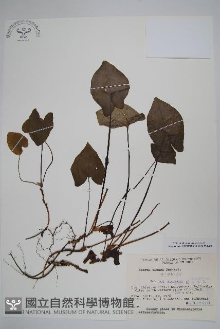 杜衡藏品圖，第1張