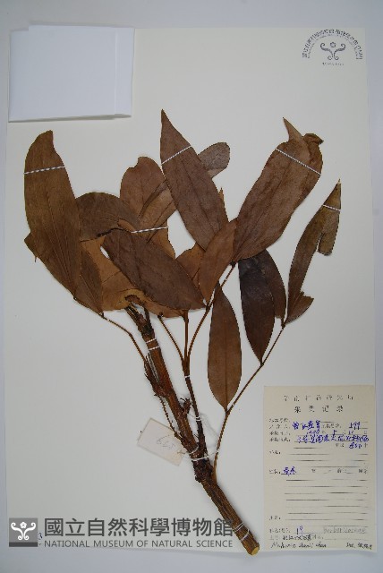 城口十大功勞藏品圖，第1張
