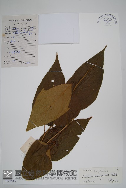 登錄號:S128843藏品圖，第1張
