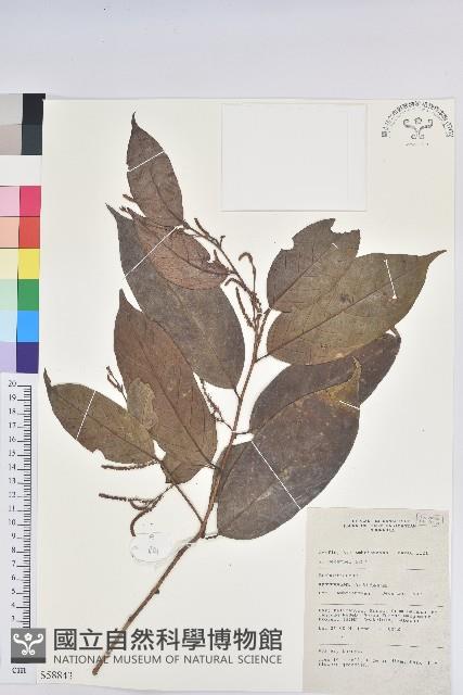 登錄號:S058843藏品圖，第1張