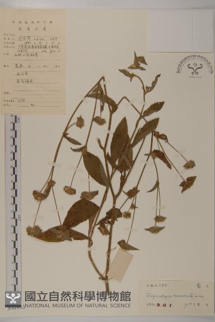 登錄號:S049083藏品圖，第1張