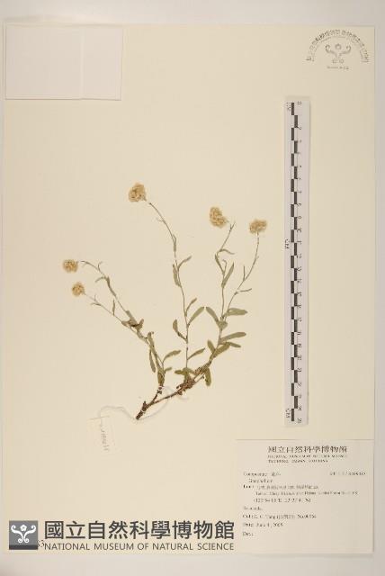 登錄號:S109483藏品圖，第1張