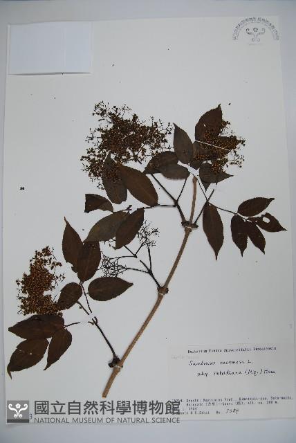 登錄號:S058583藏品圖，第1張