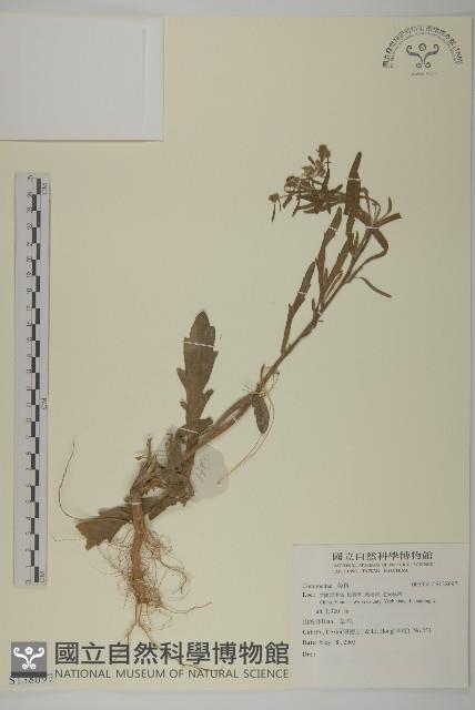 登錄號:S138097藏品圖，第1張