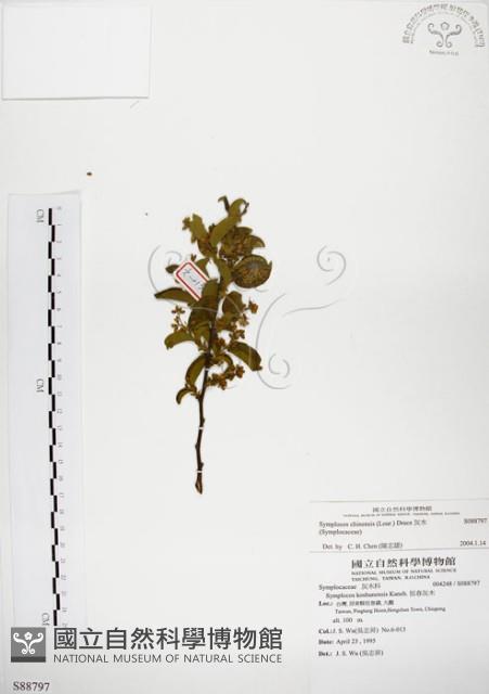 灰木藏品圖，第1張