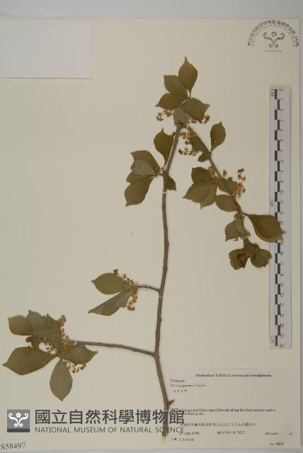 常山藏品圖，第1張