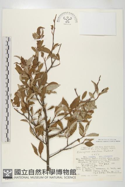 登錄號:S048937藏品圖，第1張