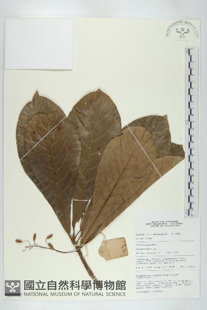 登錄號:S069787藏品圖，第1張