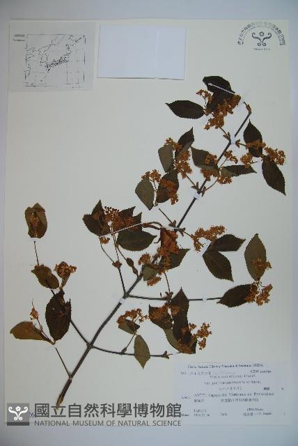 登錄號:S108026藏品圖，第1張