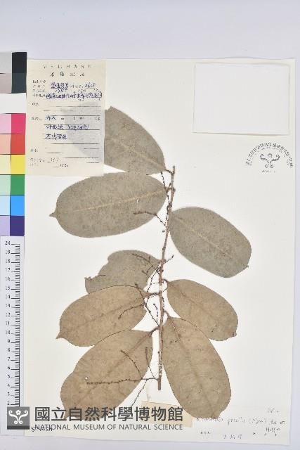 登錄號:S029426藏品圖，第1張