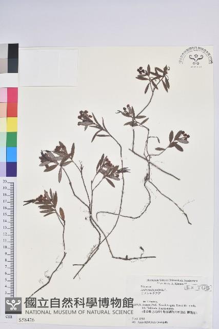 登錄號:S058426藏品圖，第1張