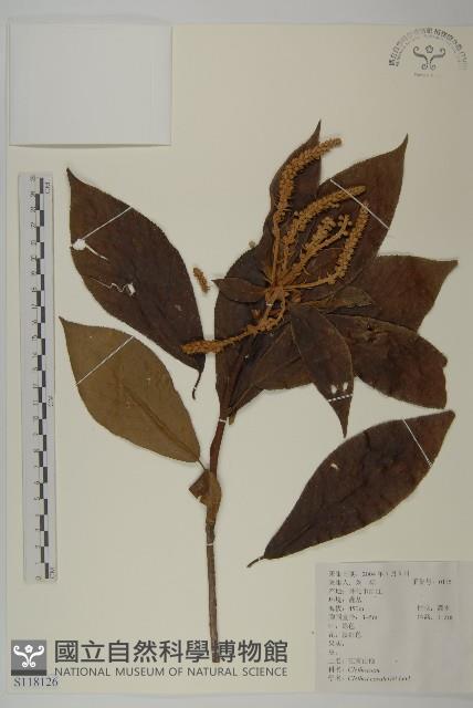 江南山柳藏品圖，第1張