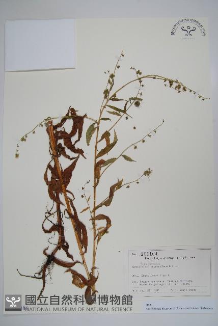 登錄號:S128206藏品圖，第1張