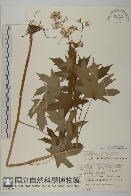 登錄號:S049106藏品圖，第1張