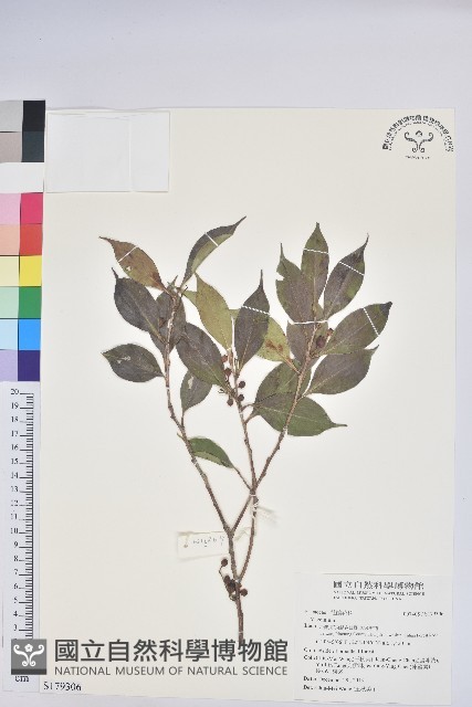 登錄號:S179306藏品圖，第1張
